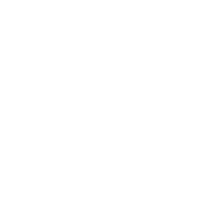Badge-Icon-2.png