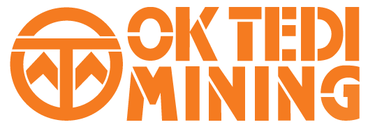 logo-oktedi